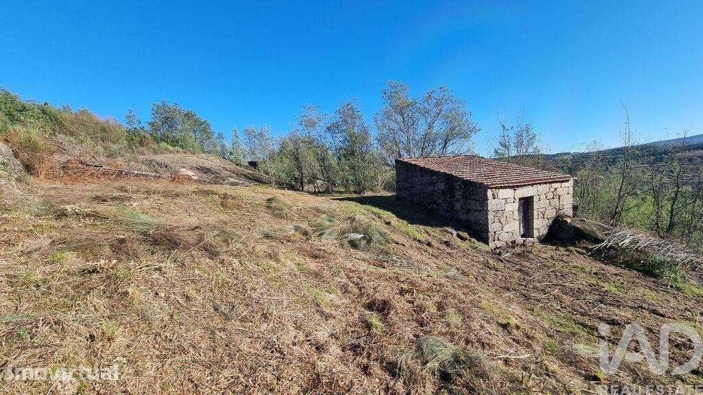 Terreno Agrícola em Juncais, Vila Ruiva e Vila Soeiro do Chão - Grande imagem: 2/27