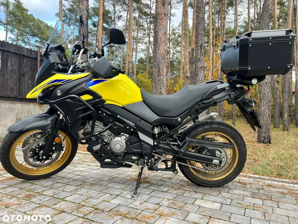 Suzuki DL - 8