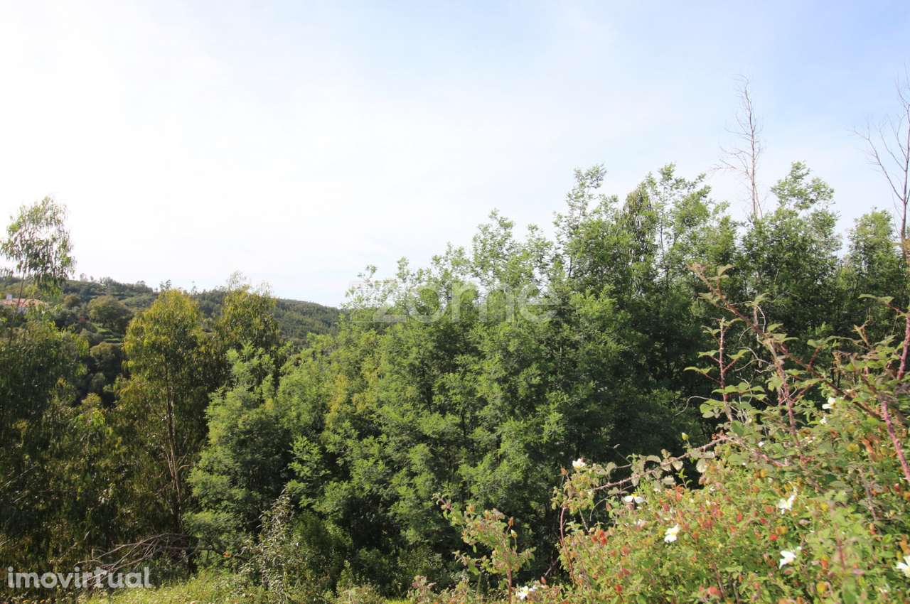 Terreno Rústico com 5.400 m² – Pontalinhos, Monchique - Grande imagem: 5/23