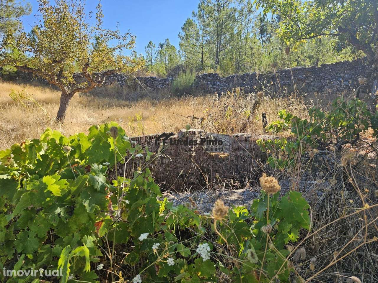 Quintinha com poço em Benquerenças - Grande imagem: 3/17