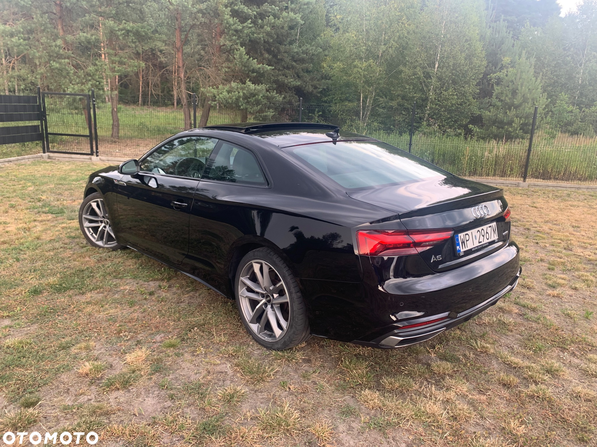 Audi A5 Coupe 45 TFSI quattro S tronic S line - 13