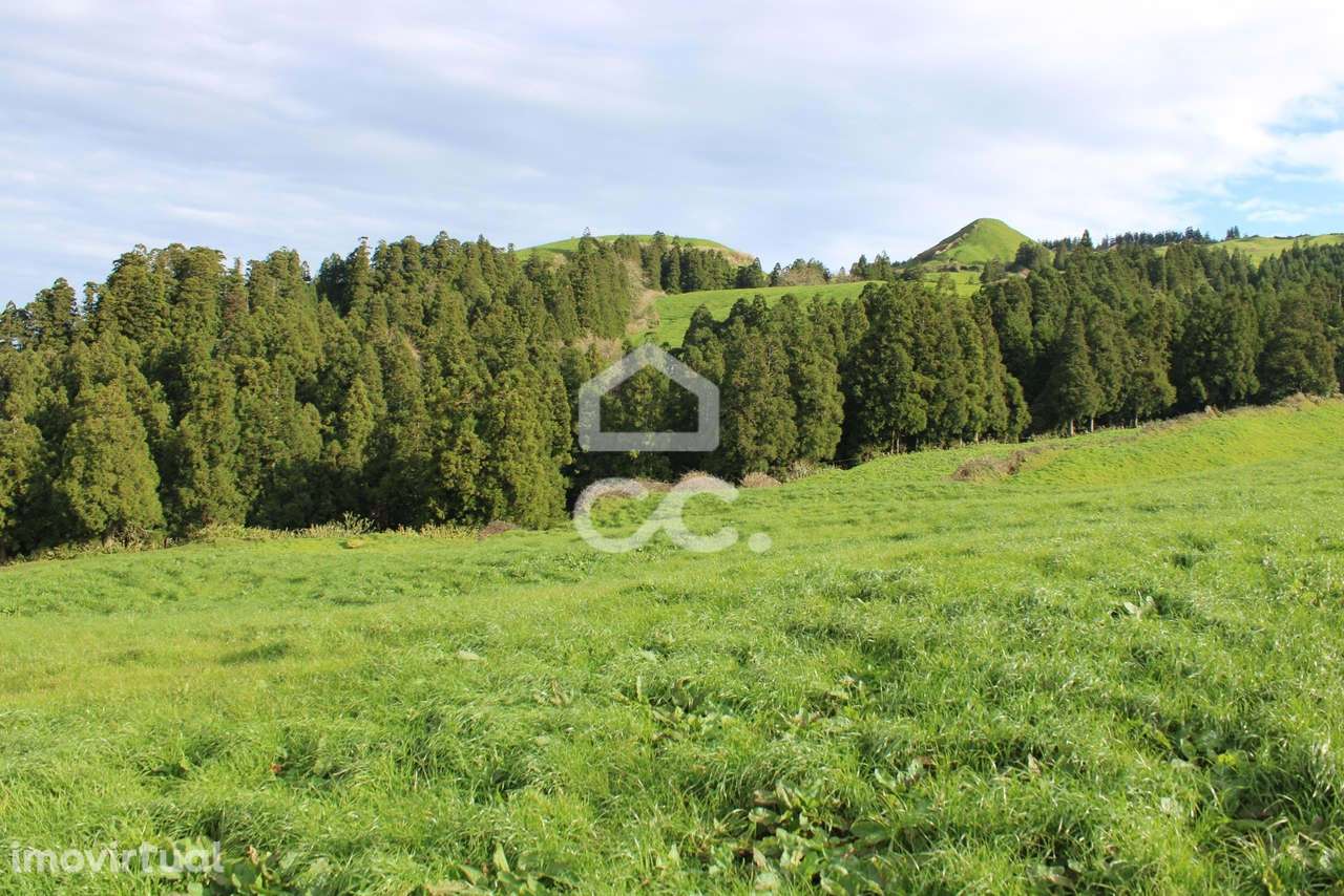 Terreno com 36.620 m2 - Ginetes - Ponta Delgada - Grande imagem: 5/9