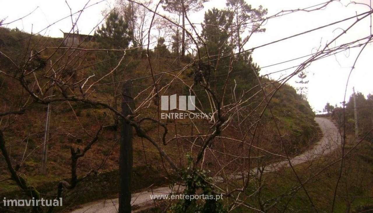 Venda Terreno, Soalhães, Marco de Canaveses - Grande imagem: 3/14