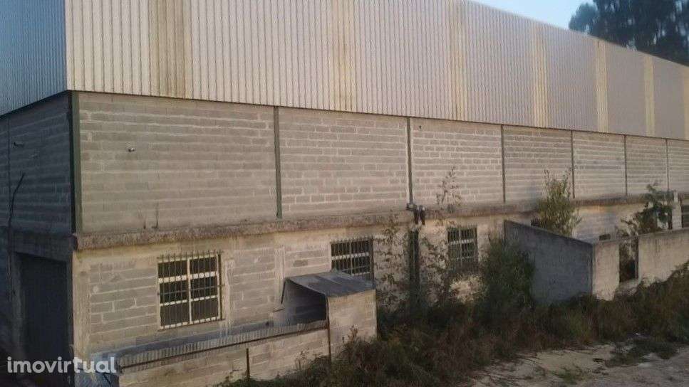 Pavilhão – Sever do Vouga - Grande imagem: 5/36