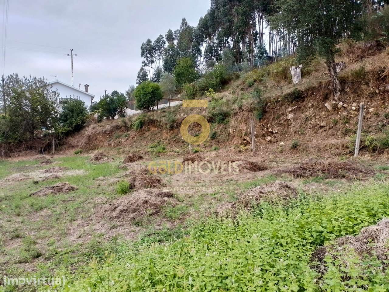Terreno Para Construção  Venda em Raiva, Pedorido e Paraíso,Castelo de - Grande imagem: 3/13