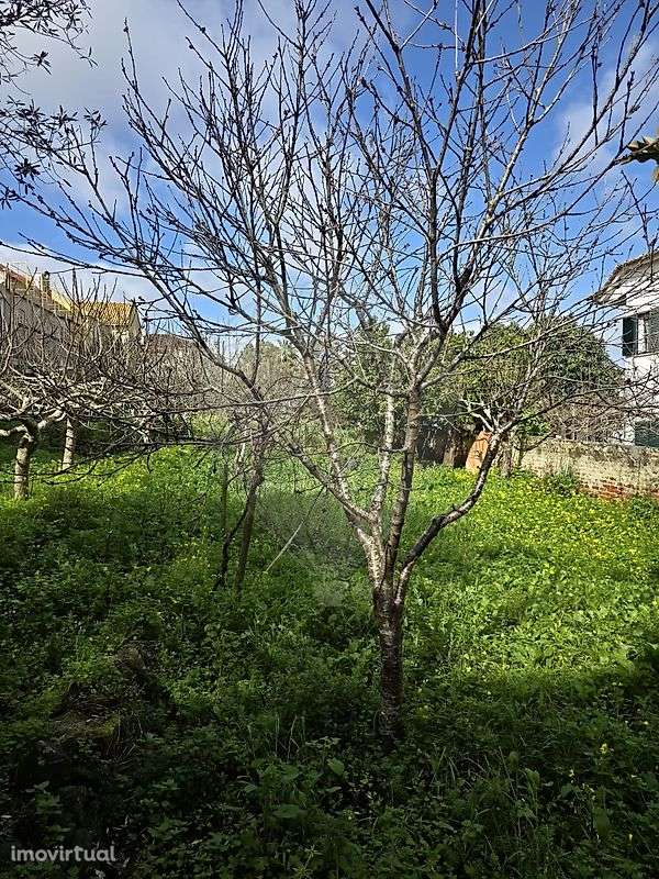 Terreno  para venda - Grande imagem: 5/11