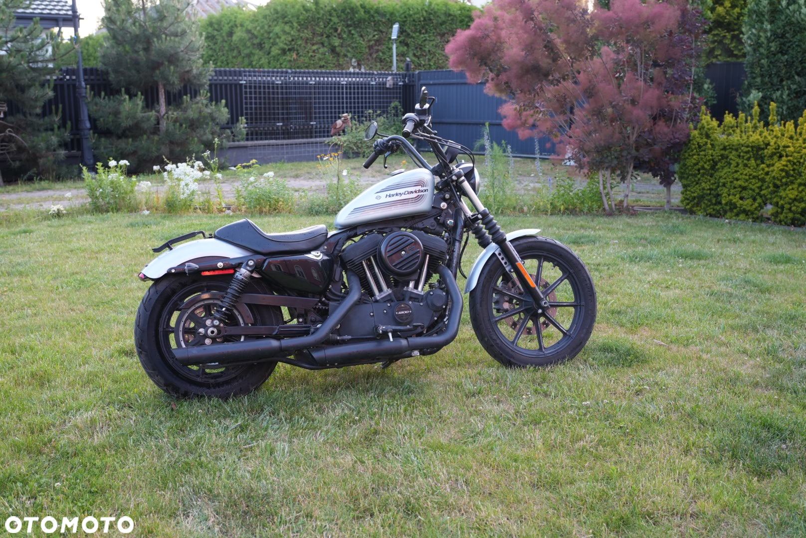 Harley-Davidson Sportster Iron 1200 - 11