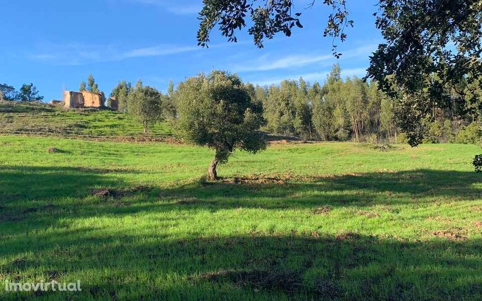 Moradia, 61 m², Aljezur - Grande imagem: 2/12