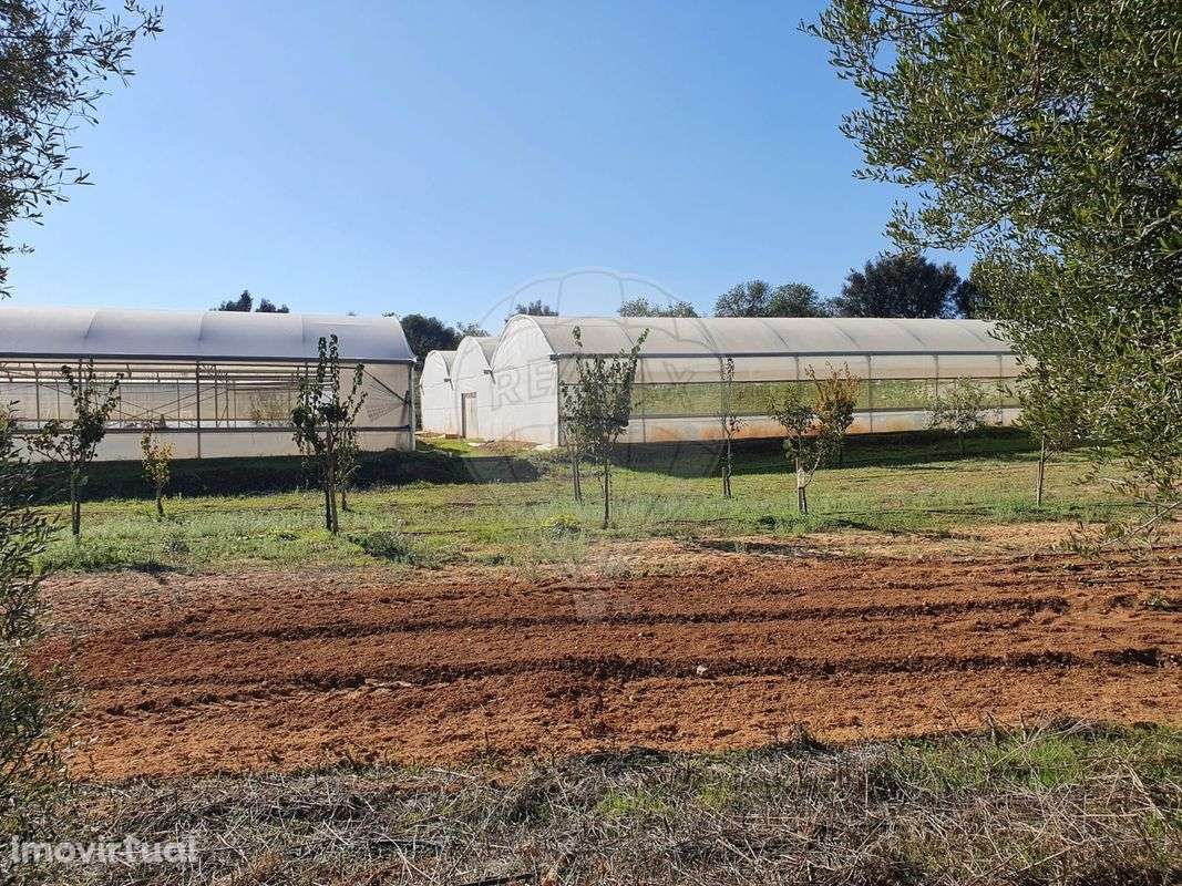 Quinta  para venda - Grande imagem: 2/36