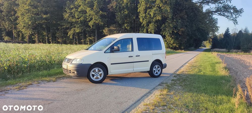 Volkswagen Caddy 1.9 TDI DPF DSG Life (7-Si.) - 3