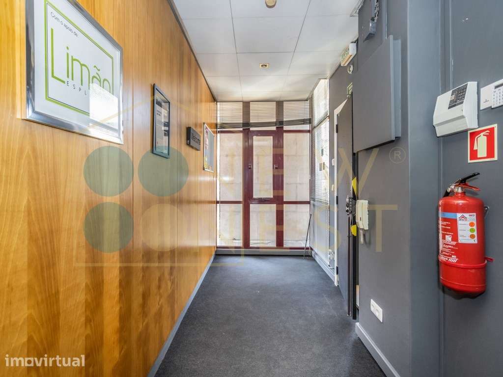 Área Nobre de 253 m² na Av. 5 de Outubro - O Maior Potencial de Con... - Grande imagem: 4/39