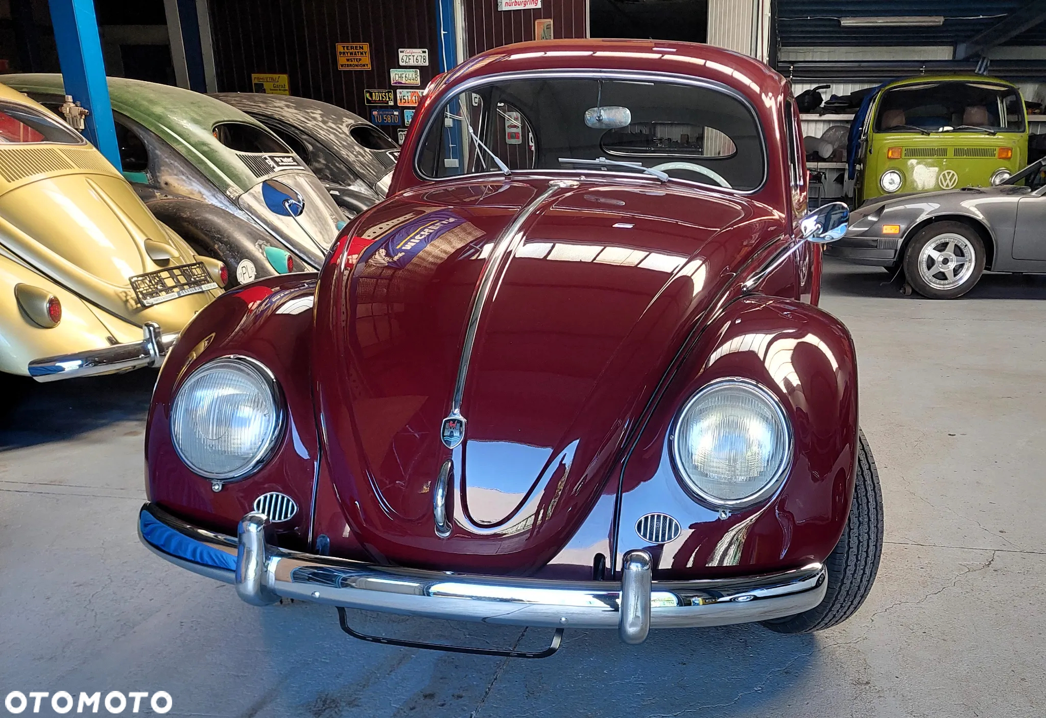 Volkswagen Garbus - 36