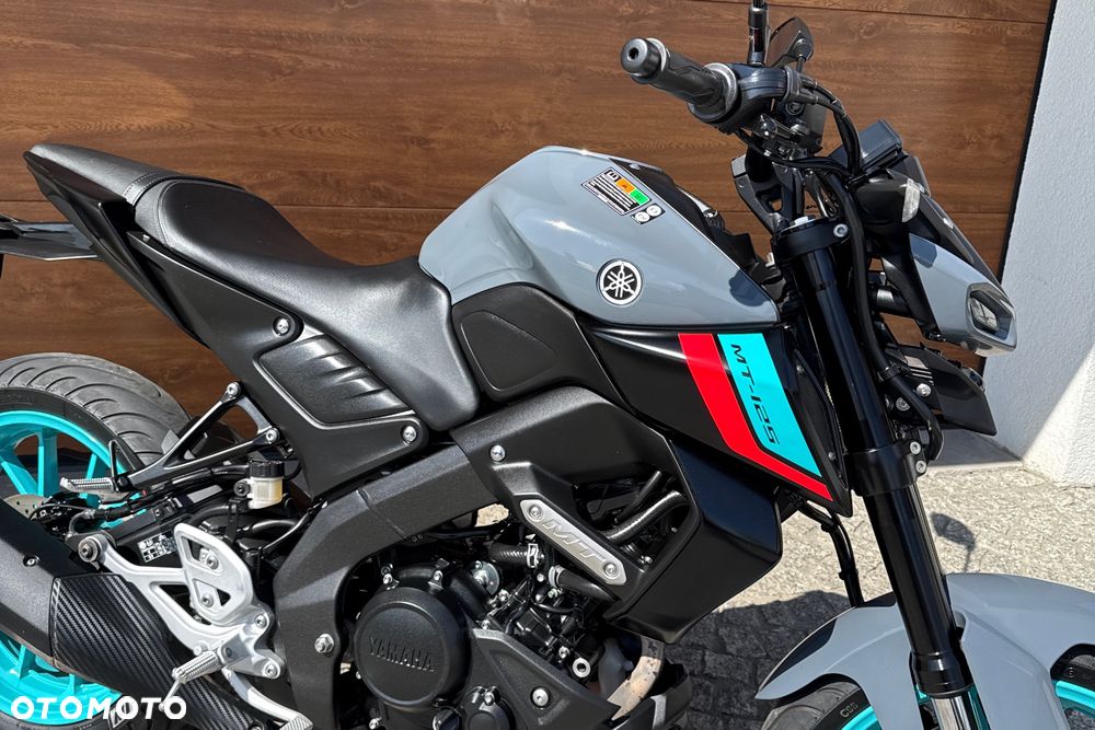 Yamaha MT - 6