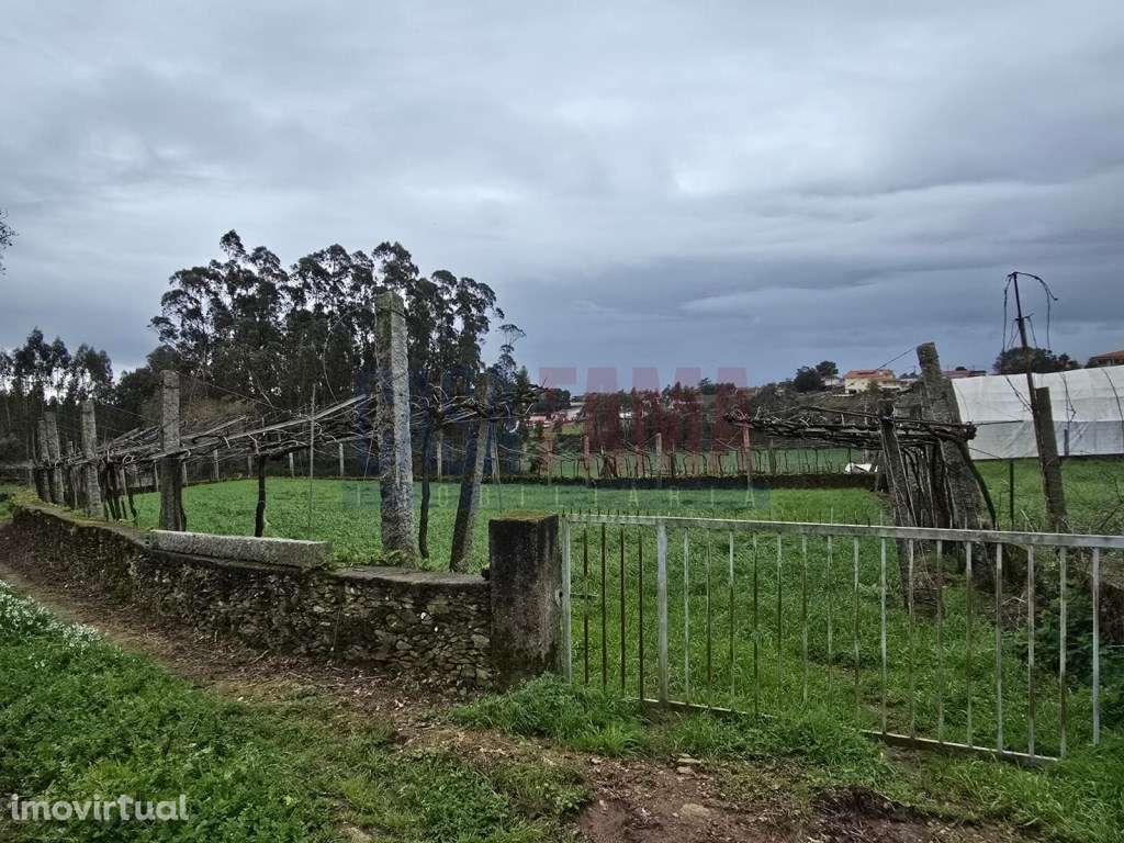 Terreno Agrícola em Fradelos - Excelente Oportunidade! - Grande imagem: 3/4