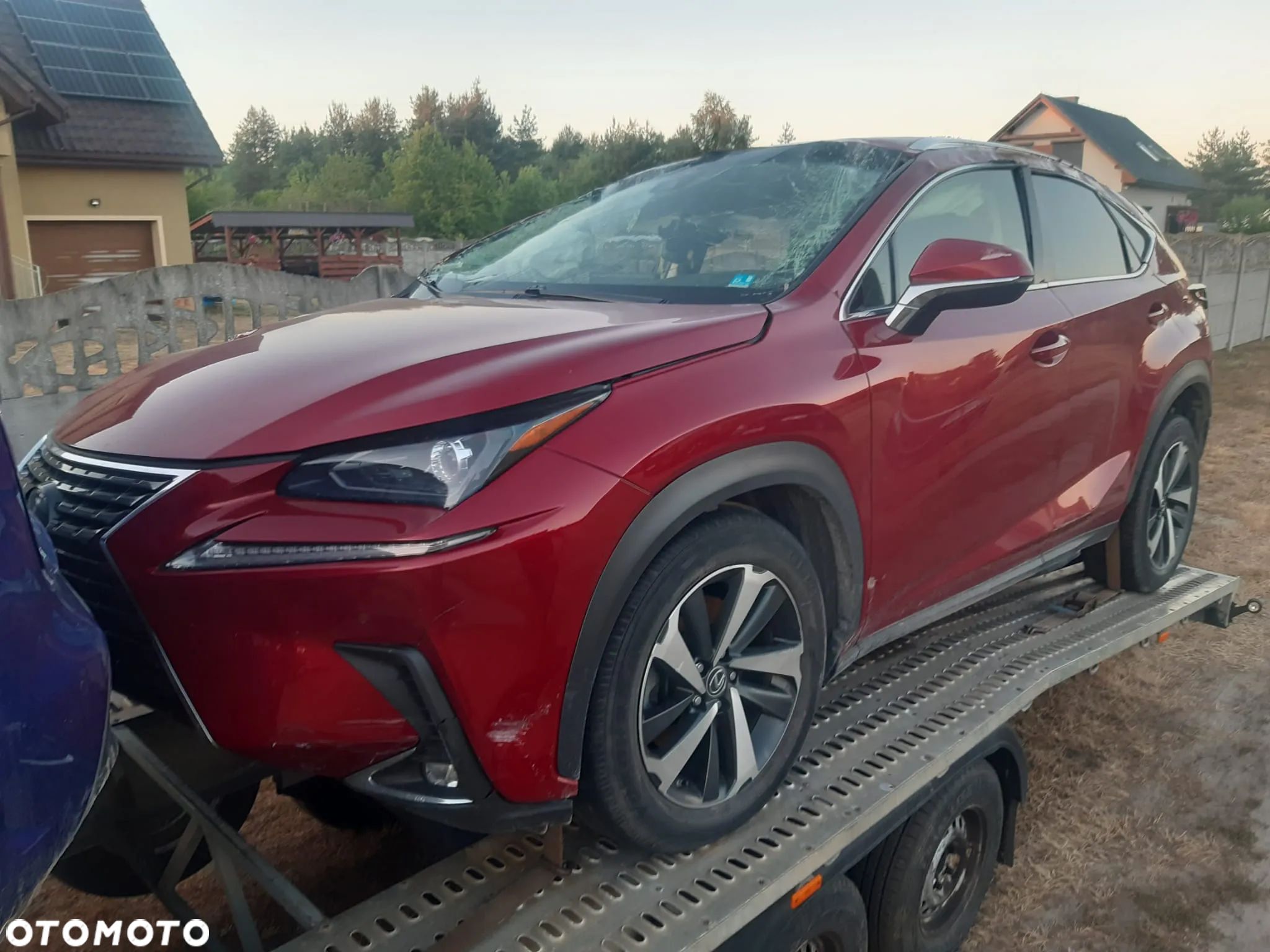 Lexus NX 300 GPF Prestige AWD - 1