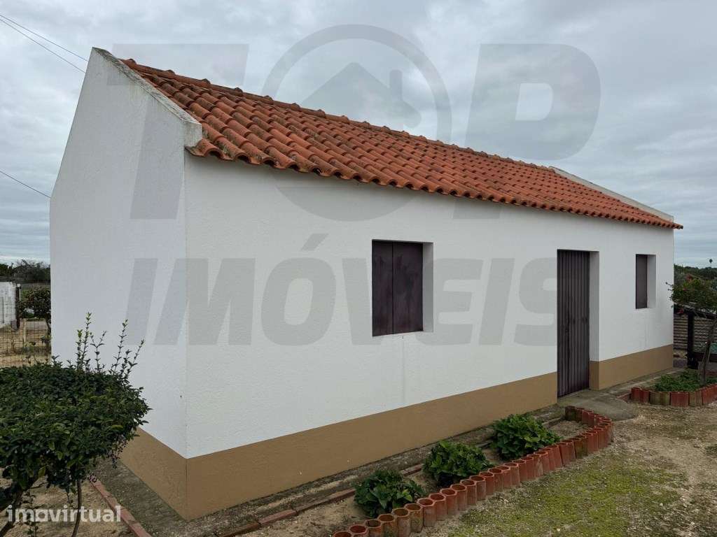 Moradia V3 - Adega - Garagem- Terreno 10.000m2 - Foros de Salvaterr... - Grande imagem: 2/40