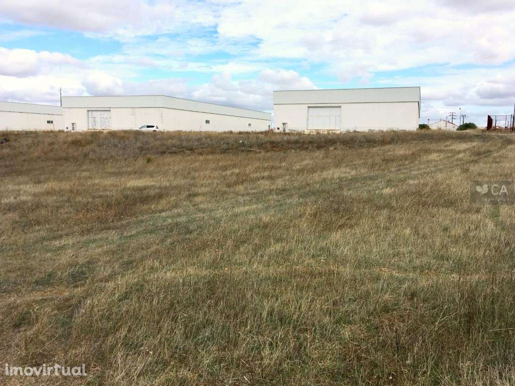 Armazéns e moradia inseridos em terreno com 109.500m² situado em Sa... - Grande imagem: 2/20