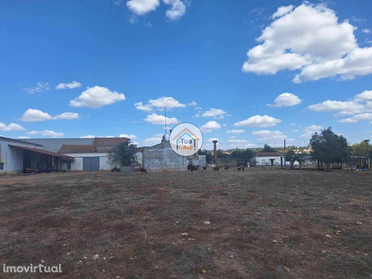 Terreno Urbano com Casas e Armazém e Terreno Rústico em Santa Luzia no - Grande imagem: 4/15