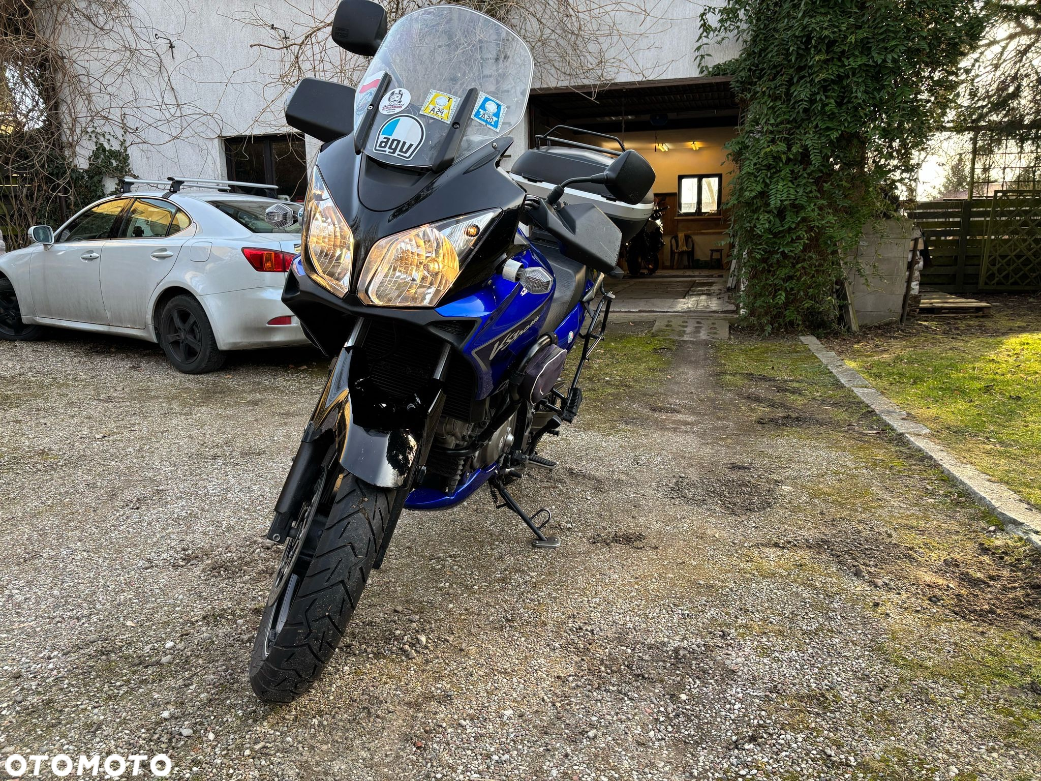 Suzuki DL - 10