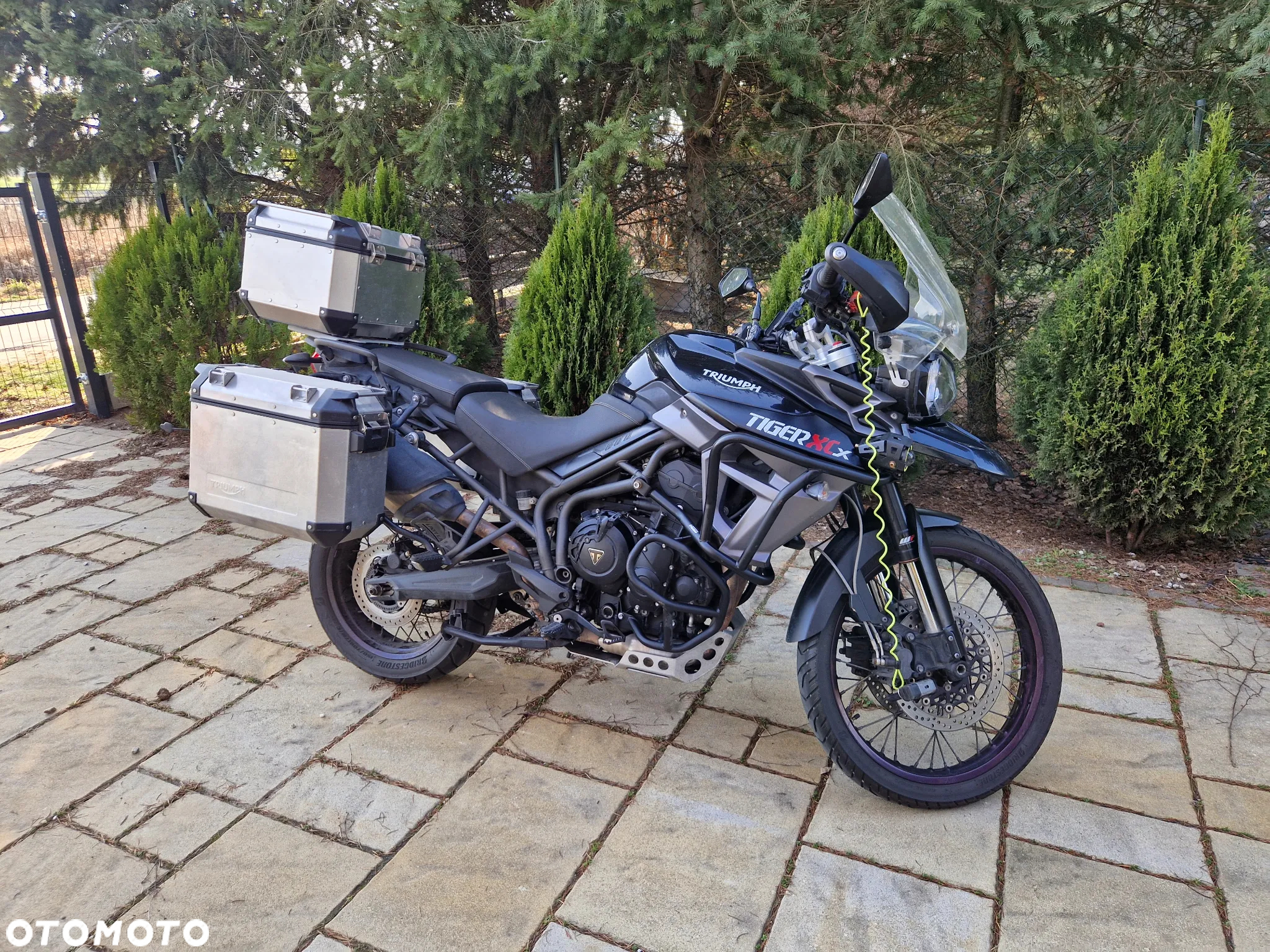Triumph Tiger - 16