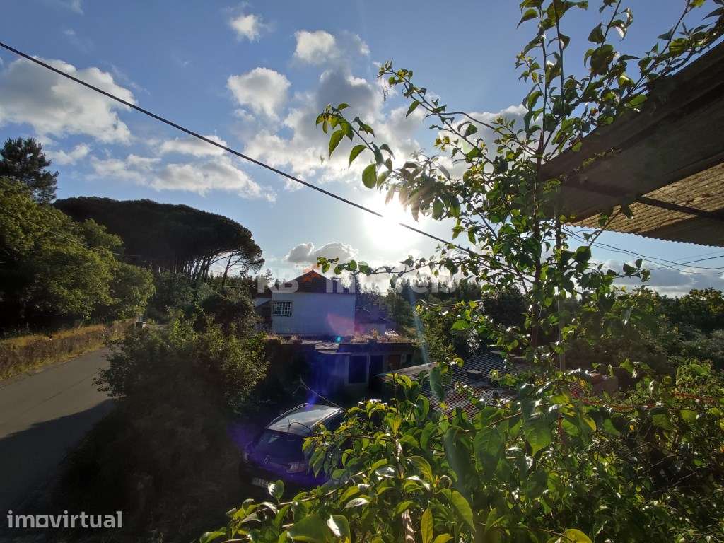 Moradia para recuperar com 2880m² - Beco, Ferreira do Zêzere - Grande imagem: 5/41