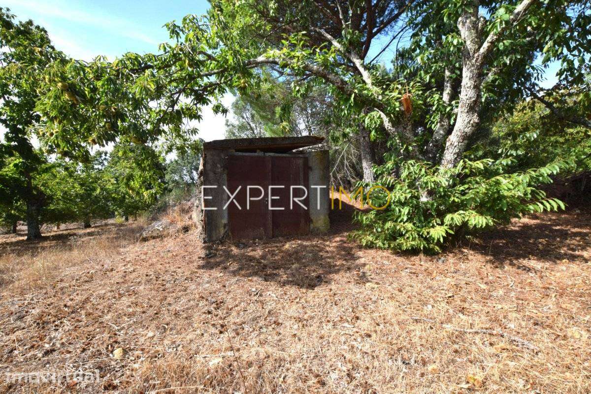 Propriedade com 4,45 hectares - 3 Km Barragem Apartadura - Grande imagem: 2/20