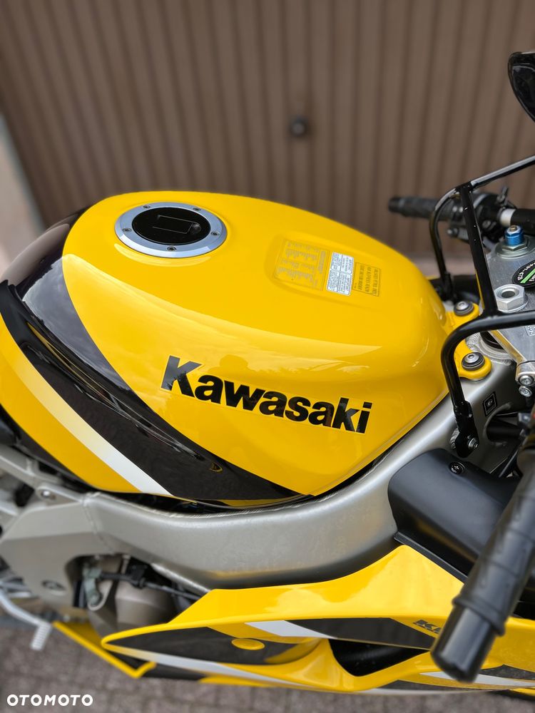 Kawasaki Ninja - 21