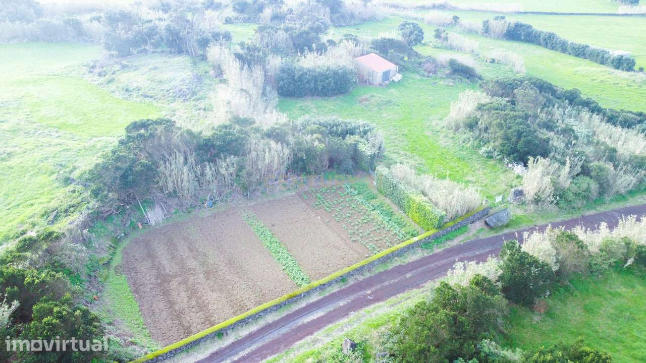 Terreno Rústico em Ribeira Grande com Jardim e Árvores Antigas - Grande imagem: 2/14