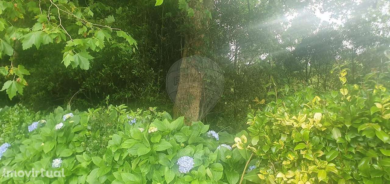 Terreno  para venda - Grande imagem: 2/3