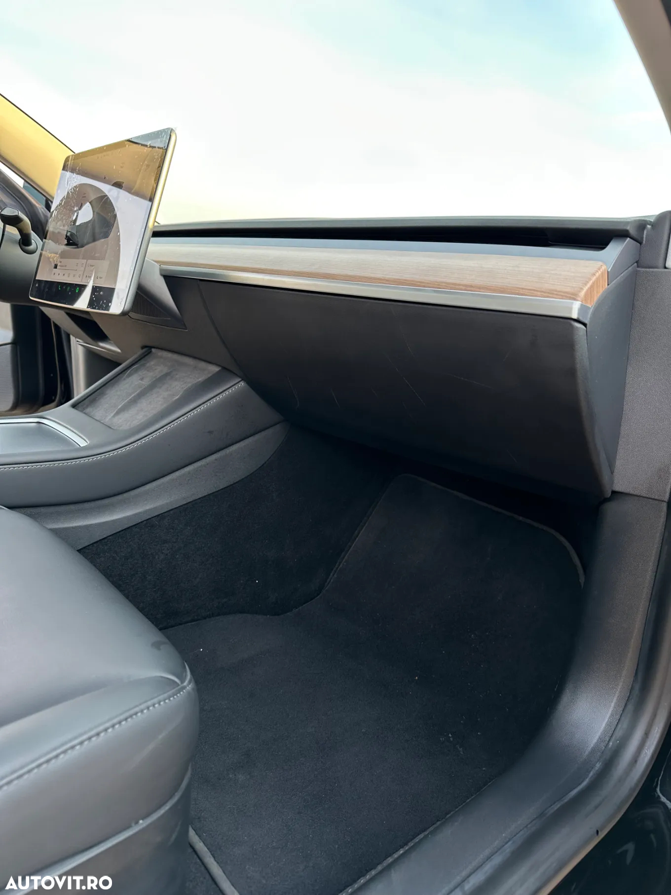 Tesla Model 3 - 22