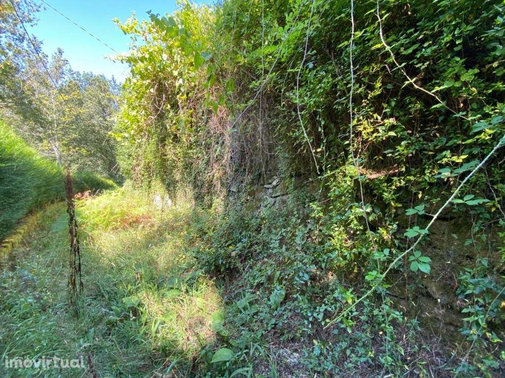 Ruína para restauro - Grande imagem: 4/16