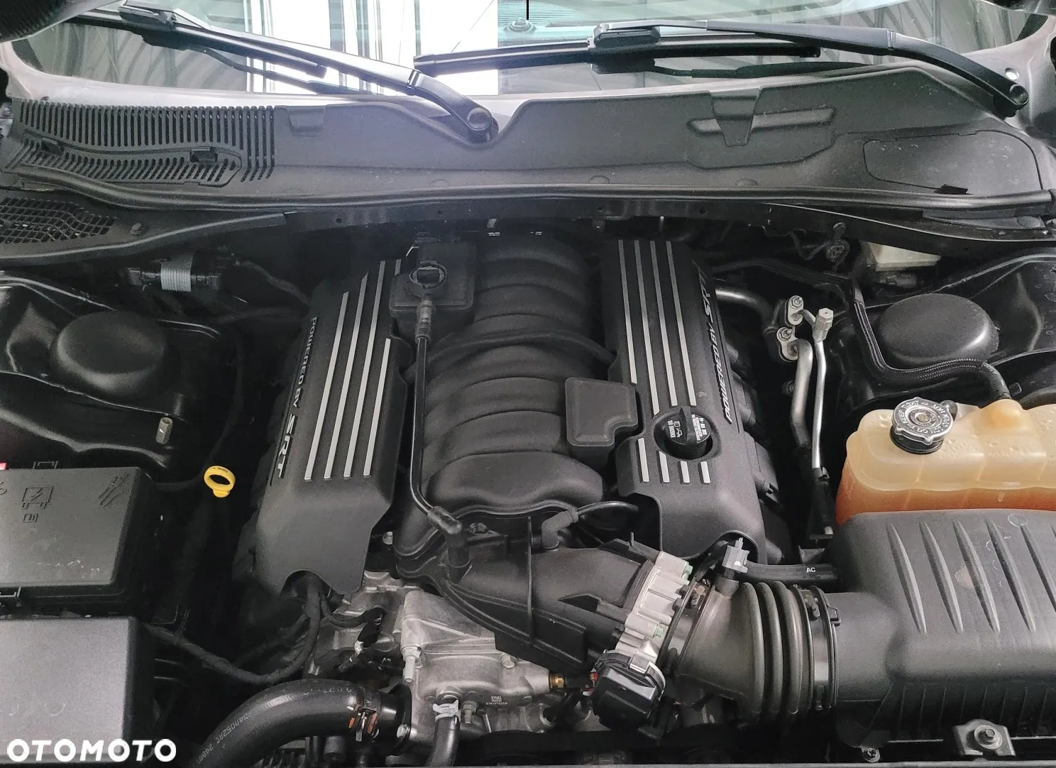 Dodge Challenger 6.4 Scat PackWidebody - 31