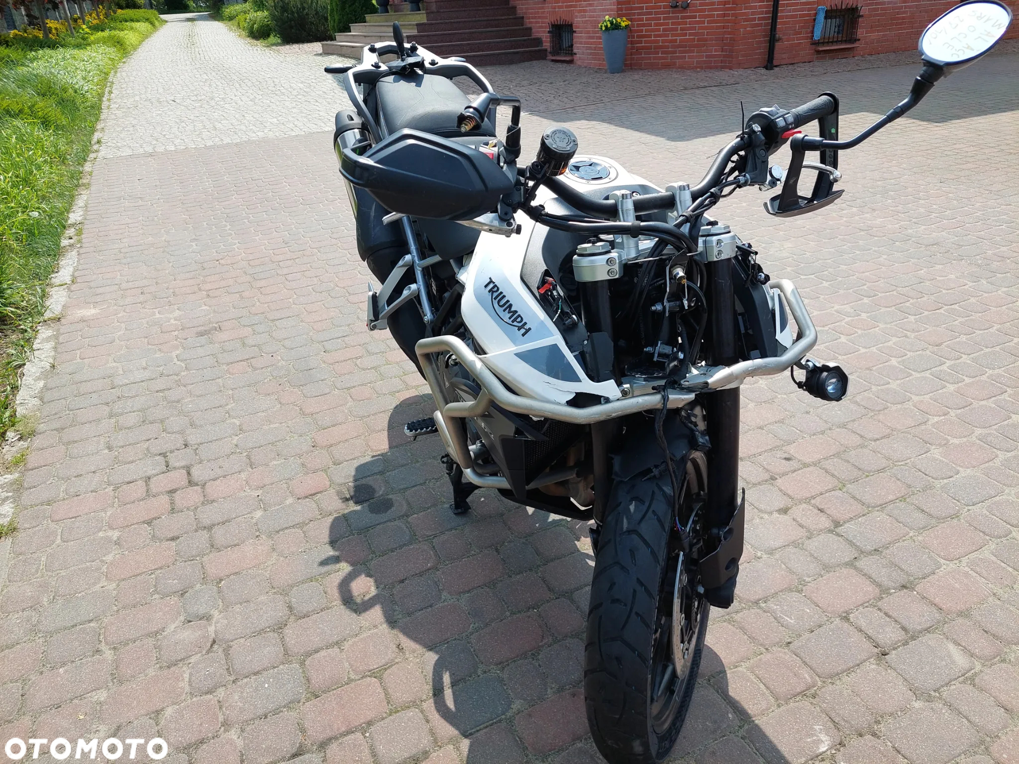 Triumph Tiger - 11