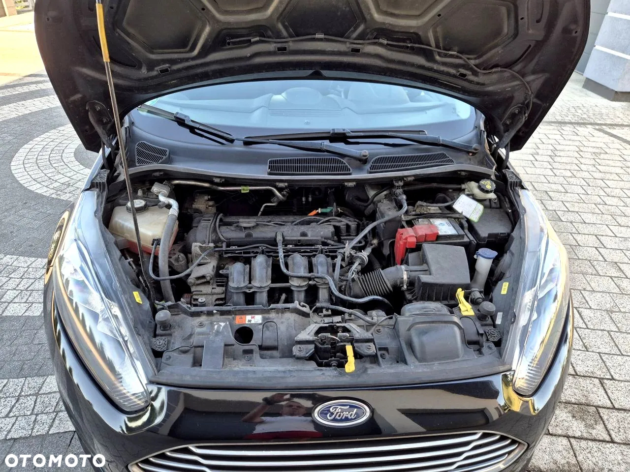 Ford Fiesta - 32