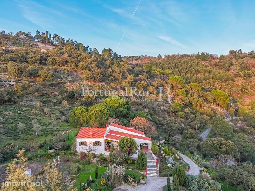 Quinta com Moradia T4 em Portalegre - Grande imagem: 5/34