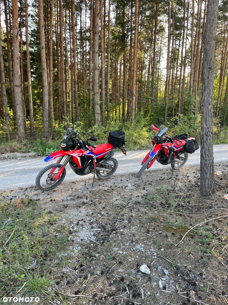 Honda CRF - 24