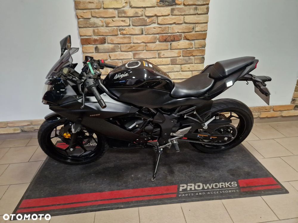 Kawasaki Ninja - 5