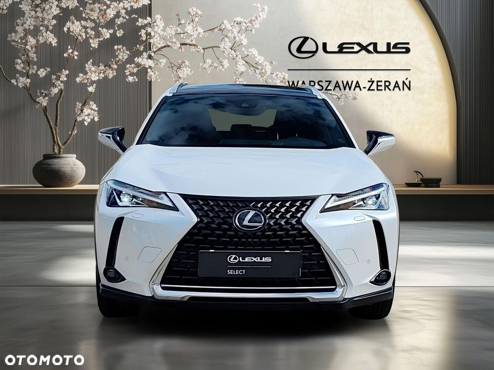 Lexus UX 200 GPF Business Edition 2WD - 10
