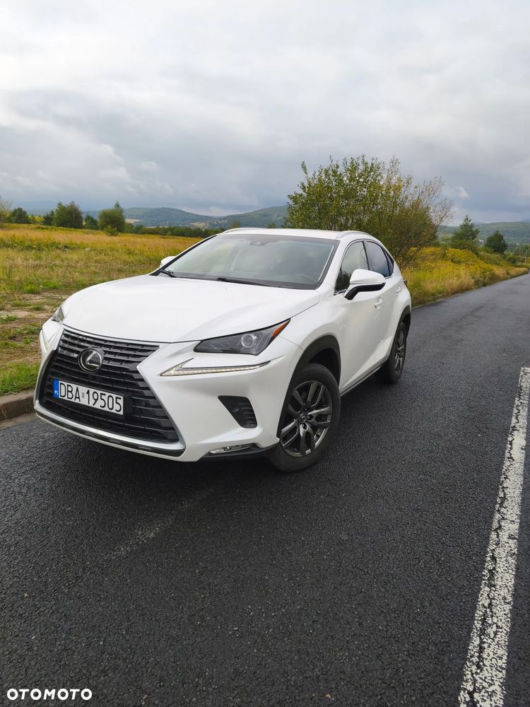 Lexus NX 300 Comfort AWD - 1
