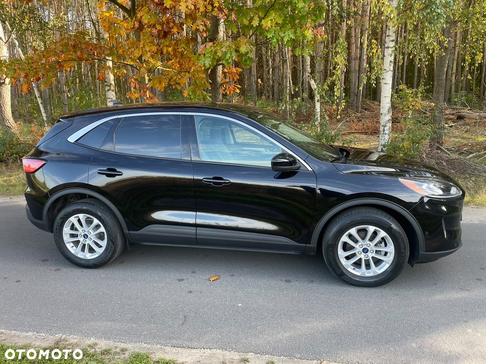 Ford Kuga 2020 photo 5