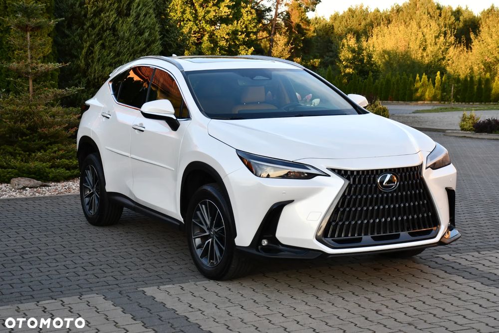 Lexus NX - 23