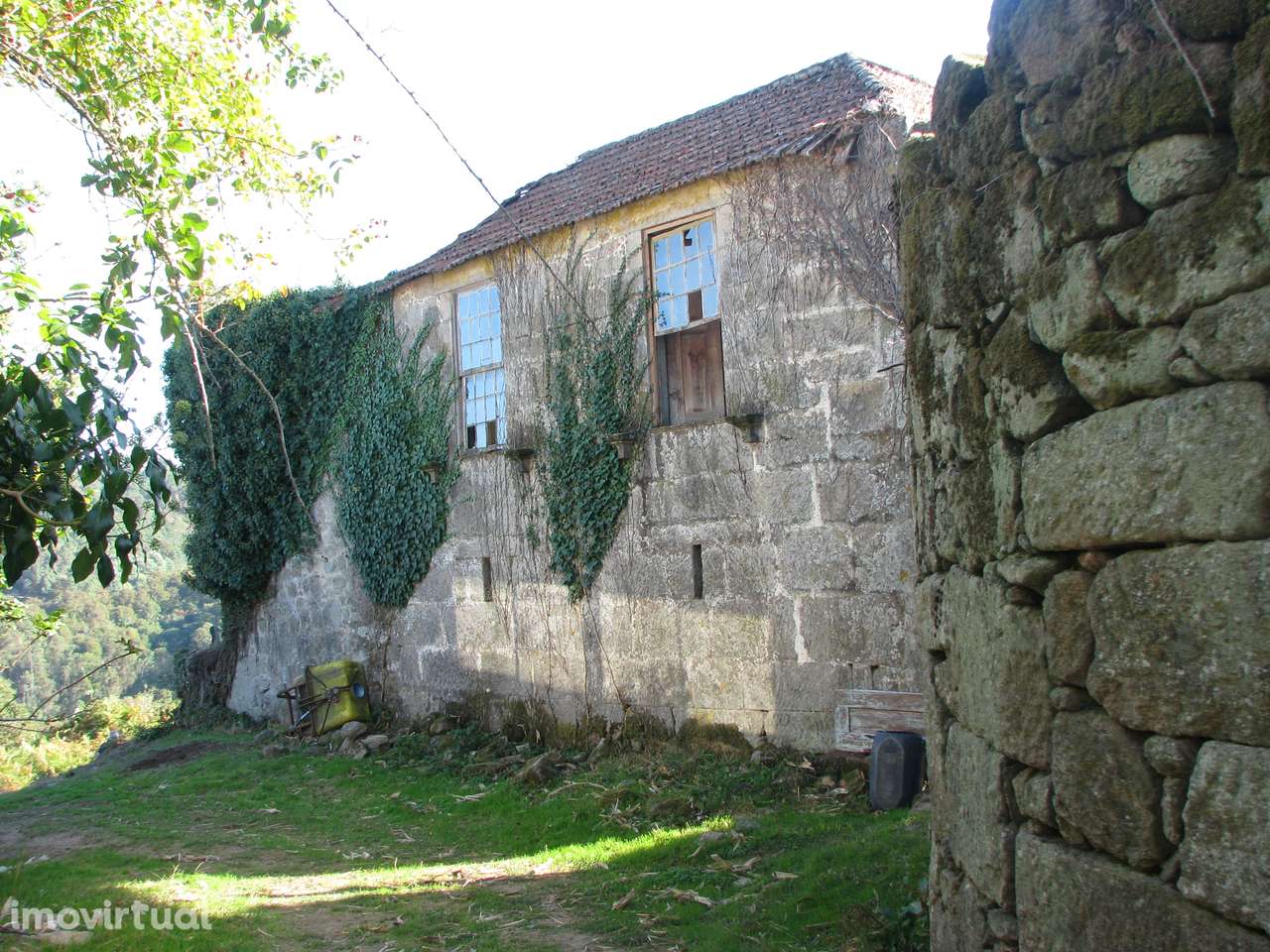 Quinta com casa em ruínas - Grande imagem: 4/16