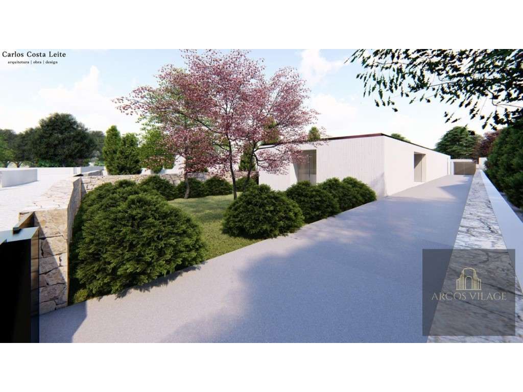 Lote Argivai - Grande imagem: 4/6