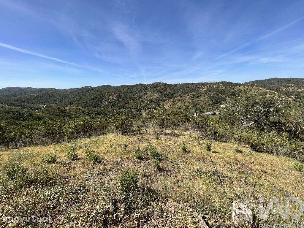 Terreno em Alte de 21390,00 m2 - Grande imagem: 2/11