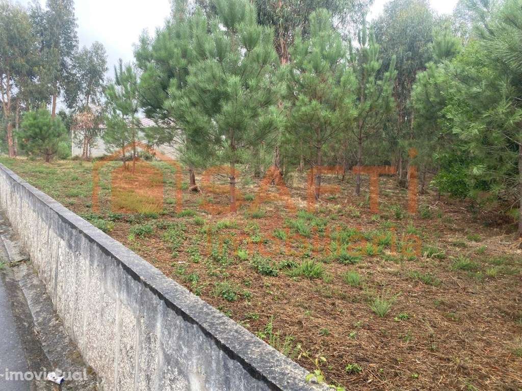 Terreno Urbano - Grande imagem: 3/4