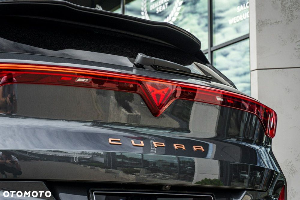 Cupra Terramar - 12
