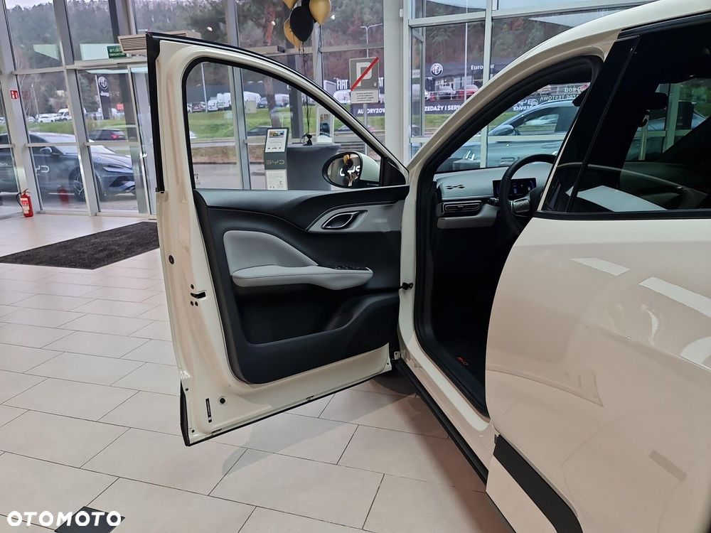 BYD Dolphin Surf - 10