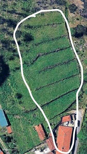 8800 mil metros de terreno/habitaçao