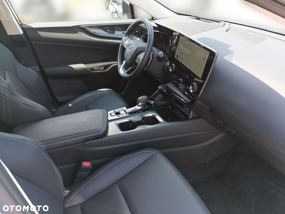 Lexus NX - 10