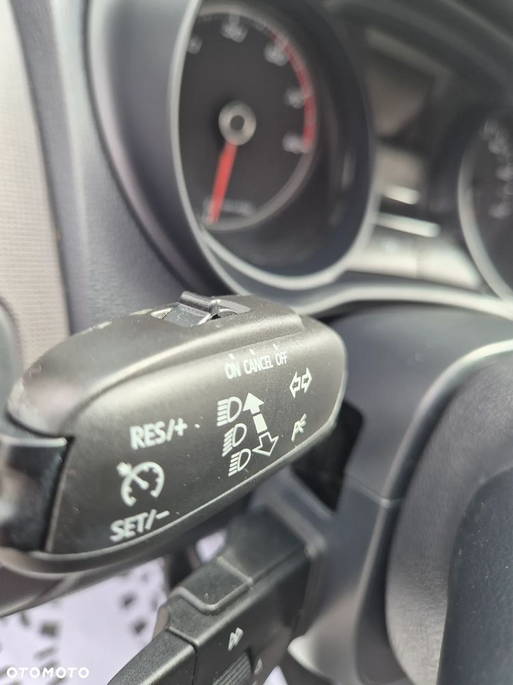 Seat Ibiza - 28